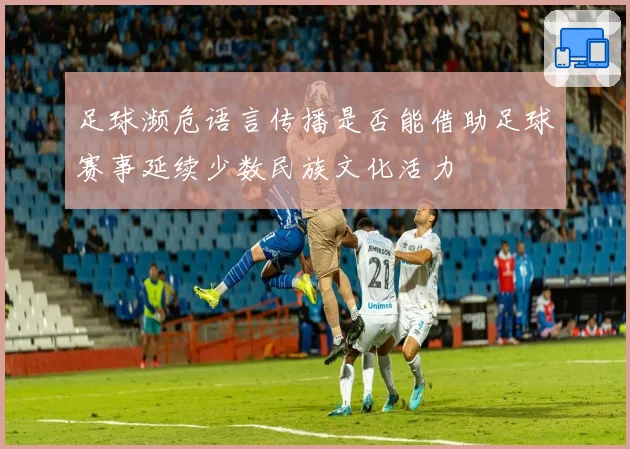 足球濒危语言传播是否能借助足球赛事延续少数民族文化活力