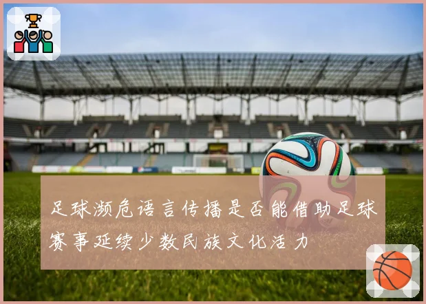 足球濒危语言传播是否能借助足球赛事延续少数民族文化活力