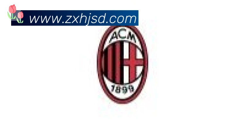 开云app合作伙伴