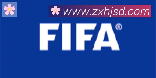 开云app合作伙伴